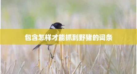 包含怎样才能抓到野猪的词条
