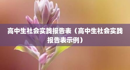 高中生社会实践报告表（高中生社会实践报告表示例）