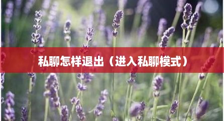 私聊怎样退出（进入私聊模式）