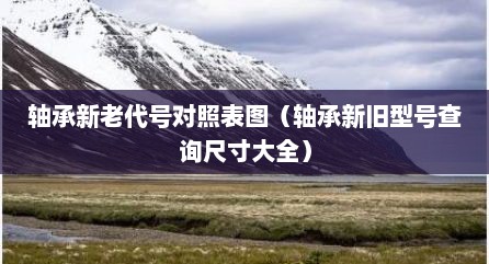 轴承新老代号对照表图（轴承新旧型号查询尺寸大全）