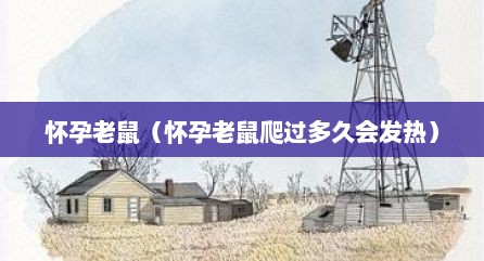 怀孕老鼠（怀孕老鼠爬过多久会发热）