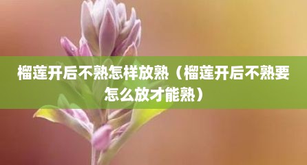 榴莲开后不熟怎样放熟（榴莲开后不熟要怎么放才能熟）