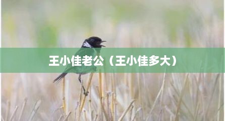 王小佳老公（王小佳多大）