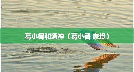 葛小舞和酒神（葛小舞 家境）