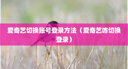 爱奇艺切换账号登录方法（爱奇艺咋切换登录）