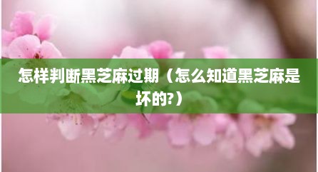 怎样判断黑芝麻过期（怎么知道黑芝麻是坏的?）