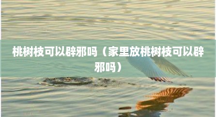 桃树枝可以辟邪吗（家里放桃树枝可以辟邪吗）