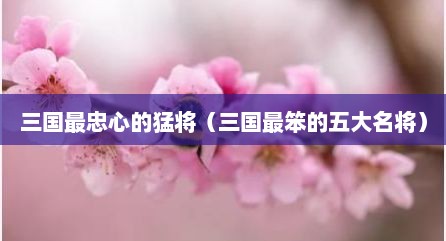 三国最忠心的猛将（三国最笨的五大名将）