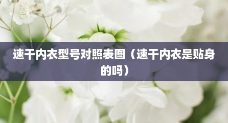 速干内衣型号对照表图（速干内衣是贴身的吗）