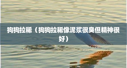 狗狗拉稀（狗狗拉稀像泥浆很臭但精神很好）