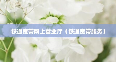 铁通宽带网上营业厅（铁通宽带服务）