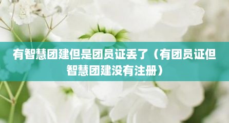 有智慧团建但是团员证丢了（有团员证但智慧团建没有注册）