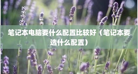 笔记本电脑要什么配置比较好（笔记本要选什么配置）