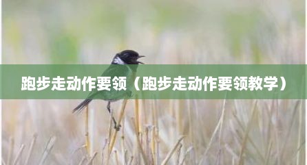 跑步走动作要领（跑步走动作要领教学）