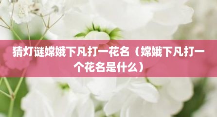 猜灯谜嫦娥下凡打一花名（嫦娥下凡打一个花名是什么）