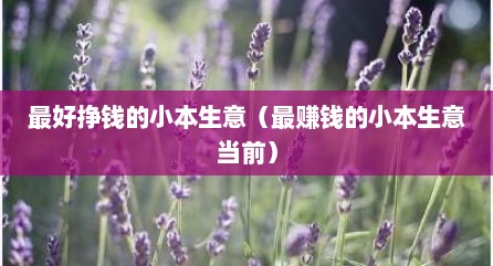 最好挣钱的小本生意（最赚钱的小本生意当前）