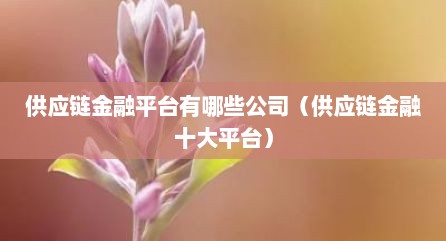 供应链金融平台有哪些公司（供应链金融十大平台）