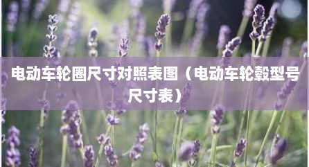 电动车轮圈尺寸对照表图（电动车轮毂型号尺寸表）