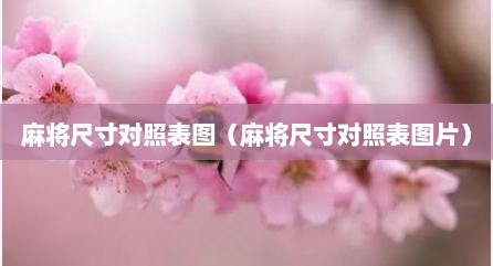 麻将尺寸对照表图（麻将尺寸对照表图片）