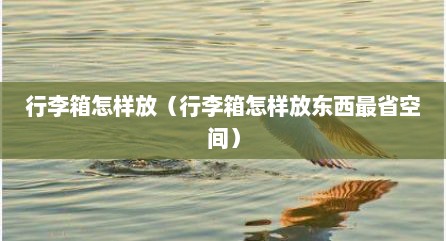 行李箱怎样放（行李箱怎样放东西最省空间）