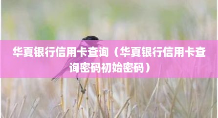 华夏银行信用卡查询（华夏银行信用卡查询密码初始密码）