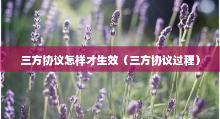 三方协议怎样才生效（三方协议过程）