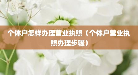 个体户怎样办理营业执照（个体户营业执照办理步骤）