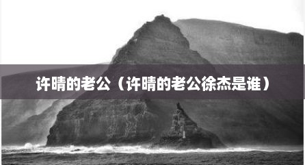 许晴的老公（许晴的老公徐杰是谁）