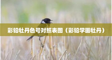 彩铅牡丹色号对照表图（彩铅学画牡丹）