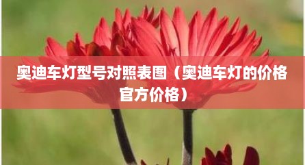 奥迪车灯型号对照表图（奥迪车灯的价格官方价格）