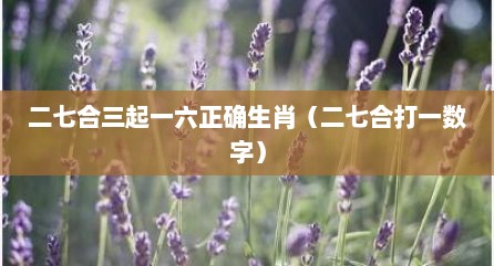 二七合三起一六正确生肖（二七合打一数字）