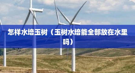 怎样水培玉树（玉树水培能全部放在水里吗）
