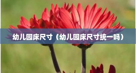 幼儿园床尺寸（幼儿园床尺寸统一吗）