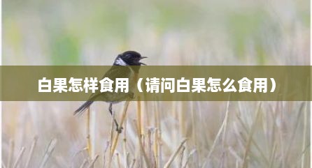 白果怎样食用（请问白果怎么食用）