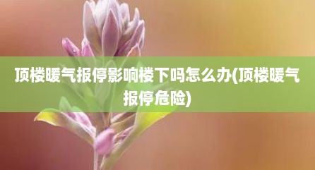顶楼暖气报停影响楼下吗怎么办(顶楼暖气报停危险)