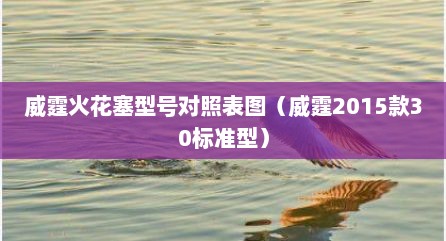 威霆火花塞型号对照表图（威霆2015款30标准型）