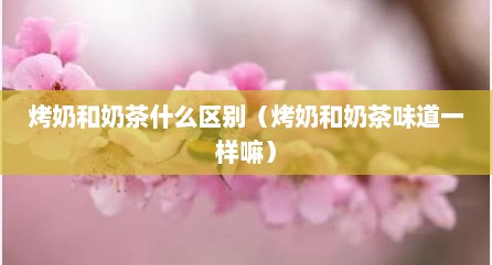 烤奶和奶茶什么区别（烤奶和奶茶味道一样嘛）