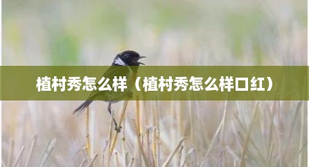 植村秀怎么样（植村秀怎么样口红）