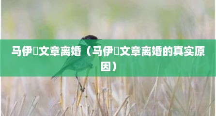 马伊琍文章离婚（马伊琍文章离婚的真实原因）
