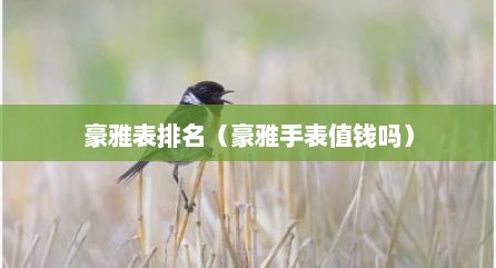 豪雅表排名（豪雅手表值钱吗）