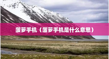 菠萝手机（菠萝手机是什么意思）