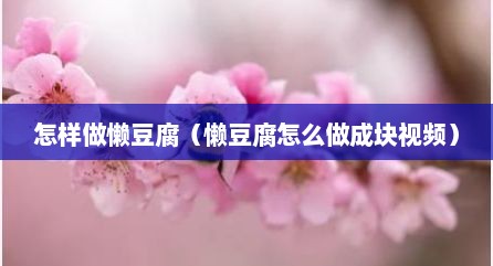 怎样做懒豆腐（懒豆腐怎么做成块视频）