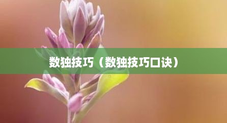 数独技巧（数独技巧口诀）