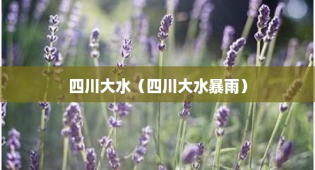 四川大水（四川大水暴雨）