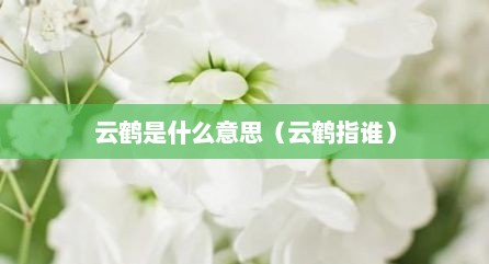 云鹤是什么意思（云鹤指谁）