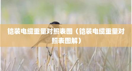 铠装电缆重量对照表图（铠装电缆重量对照表图解）