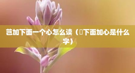 芑加下面一个心怎么读（洐下面加心是什么字）