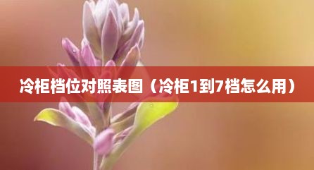 冷柜档位对照表图（冷柜1到7档怎么用）