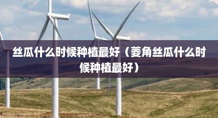 丝瓜什么时候种植最好（菱角丝瓜什么时候种植最好）