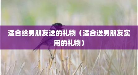 适合给男朋友送的礼物（适合送男朋友实用的礼物）